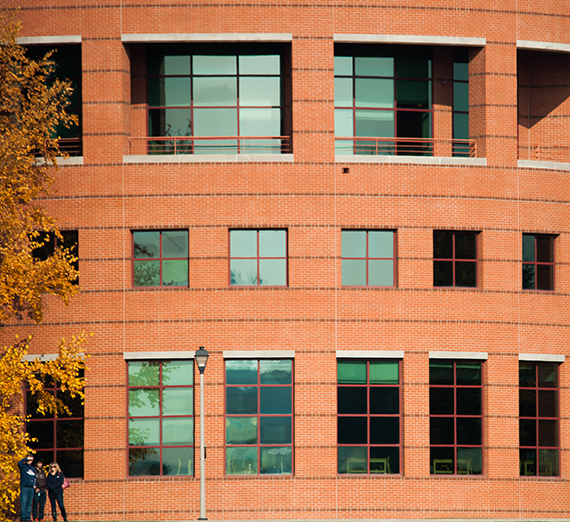 صور رأسية لأعضاء هيئة التدريس الجدد الذين ينضمون للسنة الأكاديمية 2025-26.